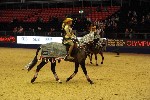 Quadrille - 00773
